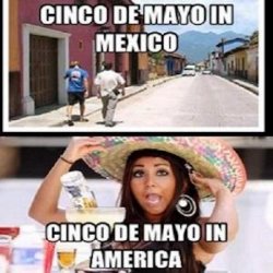 funniest-cinco-de-mayo-memes-5.jpg