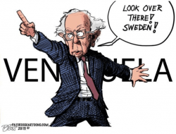 bernie sweden.png