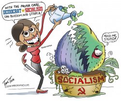 democrat-socialism-feed-me-stupid.jpg