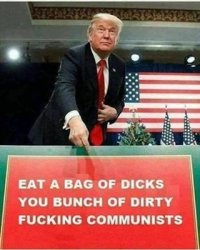 trump-bagofdicks-4.jpg