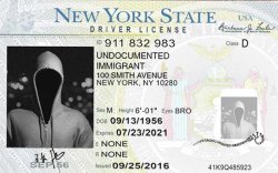 Undocumented-driverslicense2.jpg