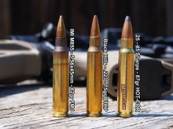 25-45-Sharps-ammo-compare.jpg