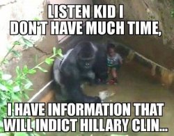 hilary-clinton-harambe.jpg