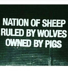 nation-of-sheep-ruled-by-wolves-owned-by-pigs-9454329.png