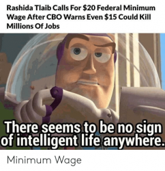 rashida-tlaib-calls-for-20-federal-minimum-wage-after-cbo-61109253.png