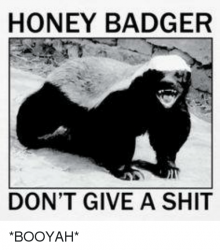 honey-badger-dont-give-a-shit-booyah-10141580.png