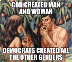 Democrats-created-all-other-Genders.png