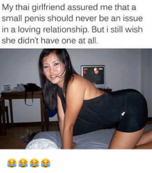 my-thai-girlfriend-assured-me-that-a-small-penis-should-2900014.png