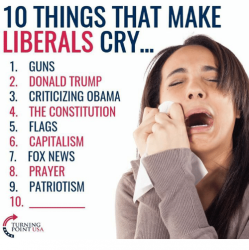 10-things-that-make-liberals-cry-1-guns-2-donald-11657165.png