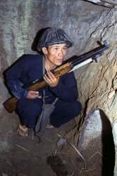 398px-Vietcong1968.jpg