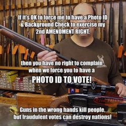 if-ok-for-photo-id-gun-control-should-need-to-vote.jpg