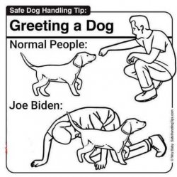 dog-safe-handling-normal-people-joe-biden.jpg