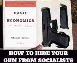 how-to-hide-gun-from-socialists-basic-economics-book.jpg