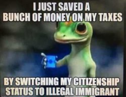 geico-i-just-saved-bunch-of-money-on-taxes-by-switching-citizenship-to-illegal-immigrant.jpg