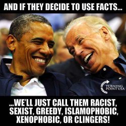 obama-biden-if-they-use-facts-well-call-them-racist-greedy-sexist-islamophobic.jpg