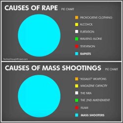 causes-of-rape-mass-shootings-pie-charts.jpg