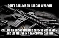 undocumented-defense-mechanism-sanctuary-cabinet.jpg