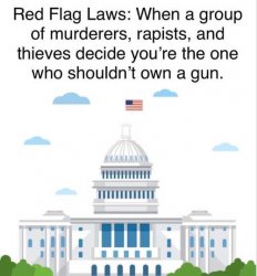 red-flag-laws-when-group-of-murderers-thieves-congress-decide-who-shouldnt-own-a-gun.jpg