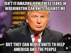 isnt-it-amazing-how-jerks-in-washington-can-unite-against-trump-but-never-american-people.jpg