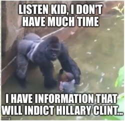 harambe-1522423318.jpg