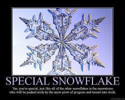 Special snowflake.jpg