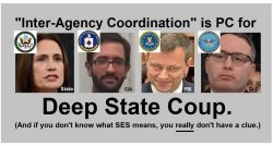 deep state coup.jpg