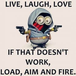 Funny-Minions-Quotes-of-The-Week-021.jpg