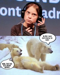 polar bear translator.jpg