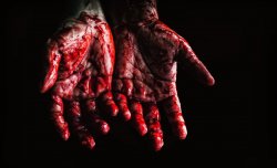 person-s-hands-covered-with-blood-673862.jpg