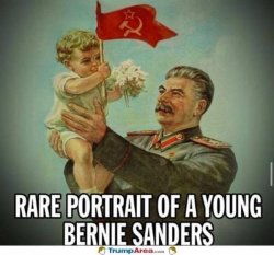 young bernie.jpeg