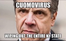 cuomovirus.jpg