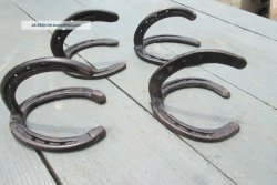 horseshoe rack.jpg