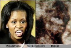 comparison-michelle-obama-and-bigfoot.jpg