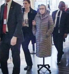 ruth-bader-ginsburg-coat-hanger-disguise.jpg