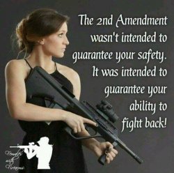 2nd-amendment-wasnt-intended-guarantee-safety.jpg