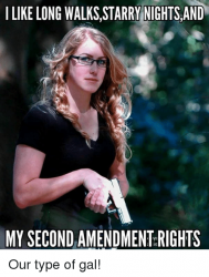 i-like-long-walks-starry-nights-and-my-second-amendment-rights-21489794.png