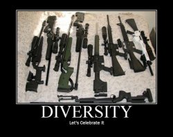Diversity-Funny-Gun-Poster.jpg