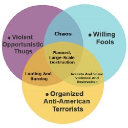 riotVenn.jpg