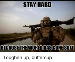 stay-hard-because-the-world-has-hone-soft-toughen-up-12062714.png