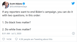 Screenshot_2020-07-06 Scott Adams If any reporters want to end Biden's campaign, you can do it...png