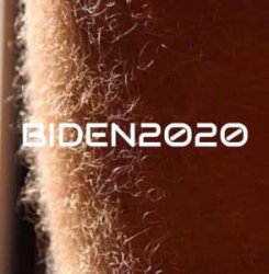 Biden_Leg_Hair_2020-294x300.jpg