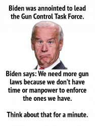 biden_zps2c9b2968.png