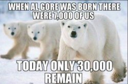 Stupid-Leftists-climate-change-polar-bears.jpg
