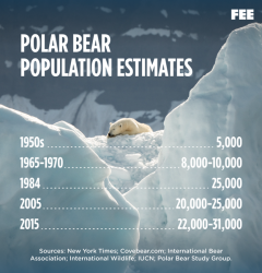 polarbear-population_estimates.png