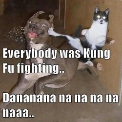 everybody-was-kung-fu-fighting-dananana-na-na-na-na-naaa.jpg