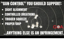 gun-control-you-should-support-sight-alignment-controlled-breathing-trigger-31320747.png