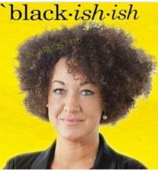 Rachel-Dolezal-meme-9-550x600.jpg