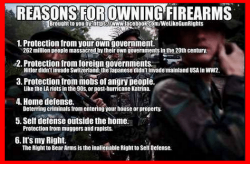 reasons-forowningfirearms-brouglit-to-you-byalittoswwwetacebook-com-wetikegunrights-1-protecti...png