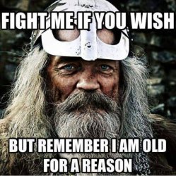 0a135388d1d80ff4aa5a13982f8e4525--viking-quotes-american-veterans.jpg