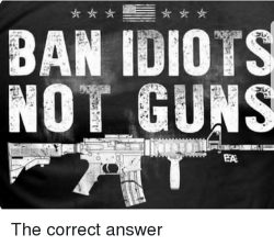 ban-idiors-not-guns-the-correct-answer-29761468.png